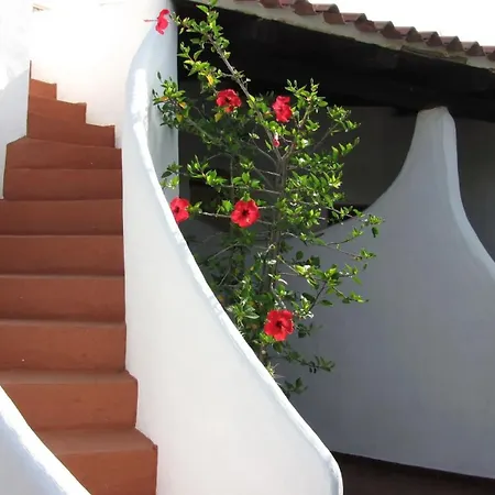 Charming House With Sea View In *