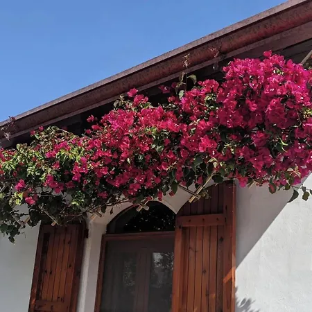 Charming House With Sea View In *