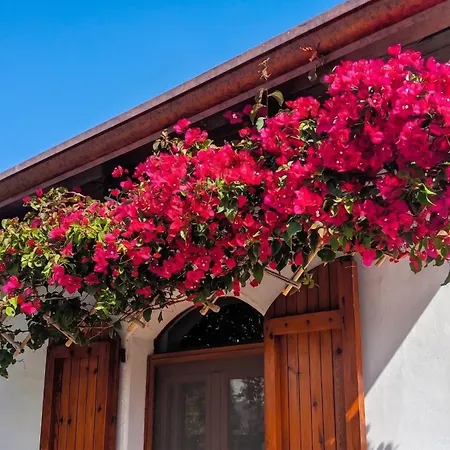 Charming House With Sea View In *